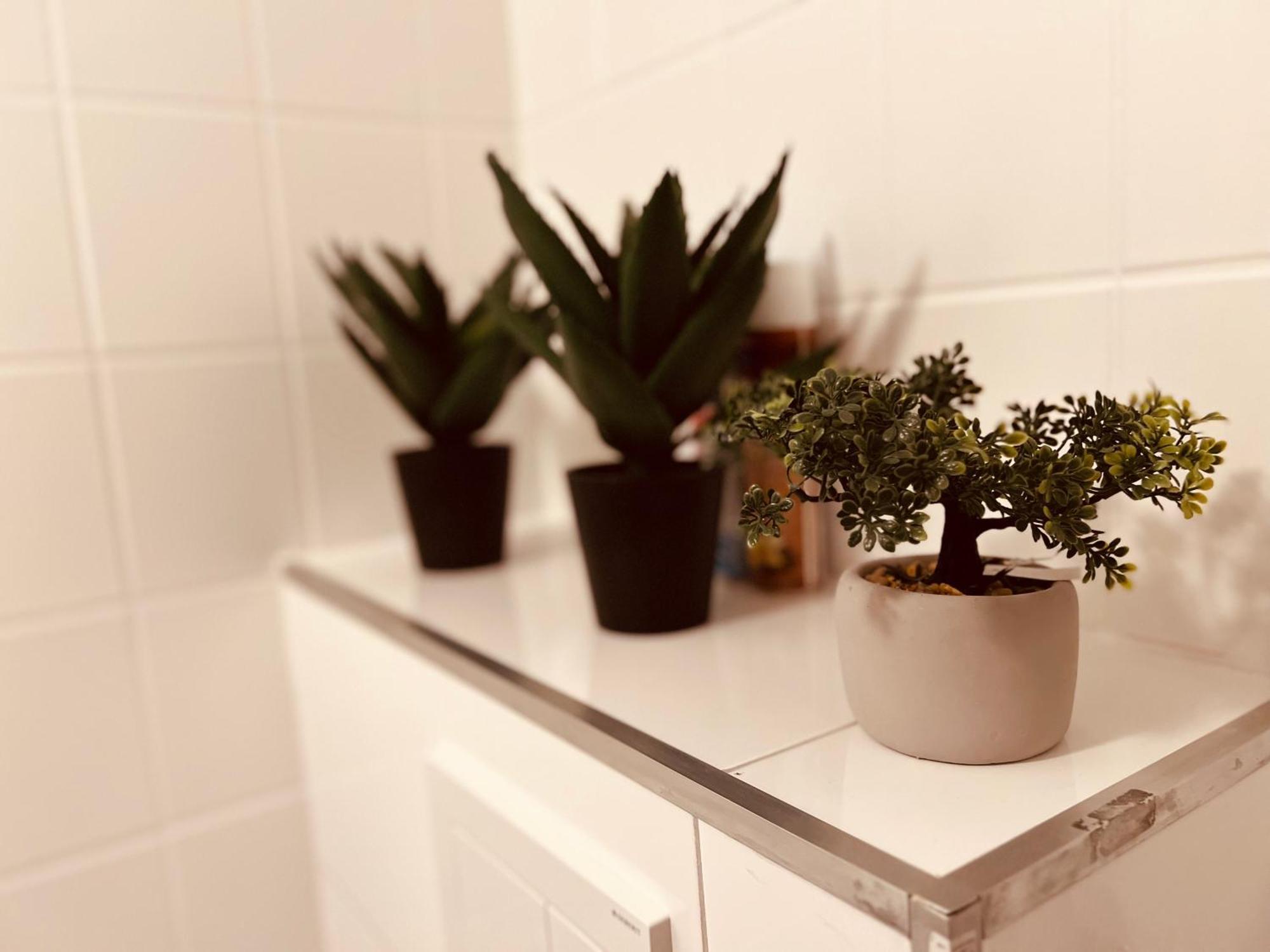 Cologne Luxe Living: Opulent Elegance Unleashedアパートメント エクステリア 写真